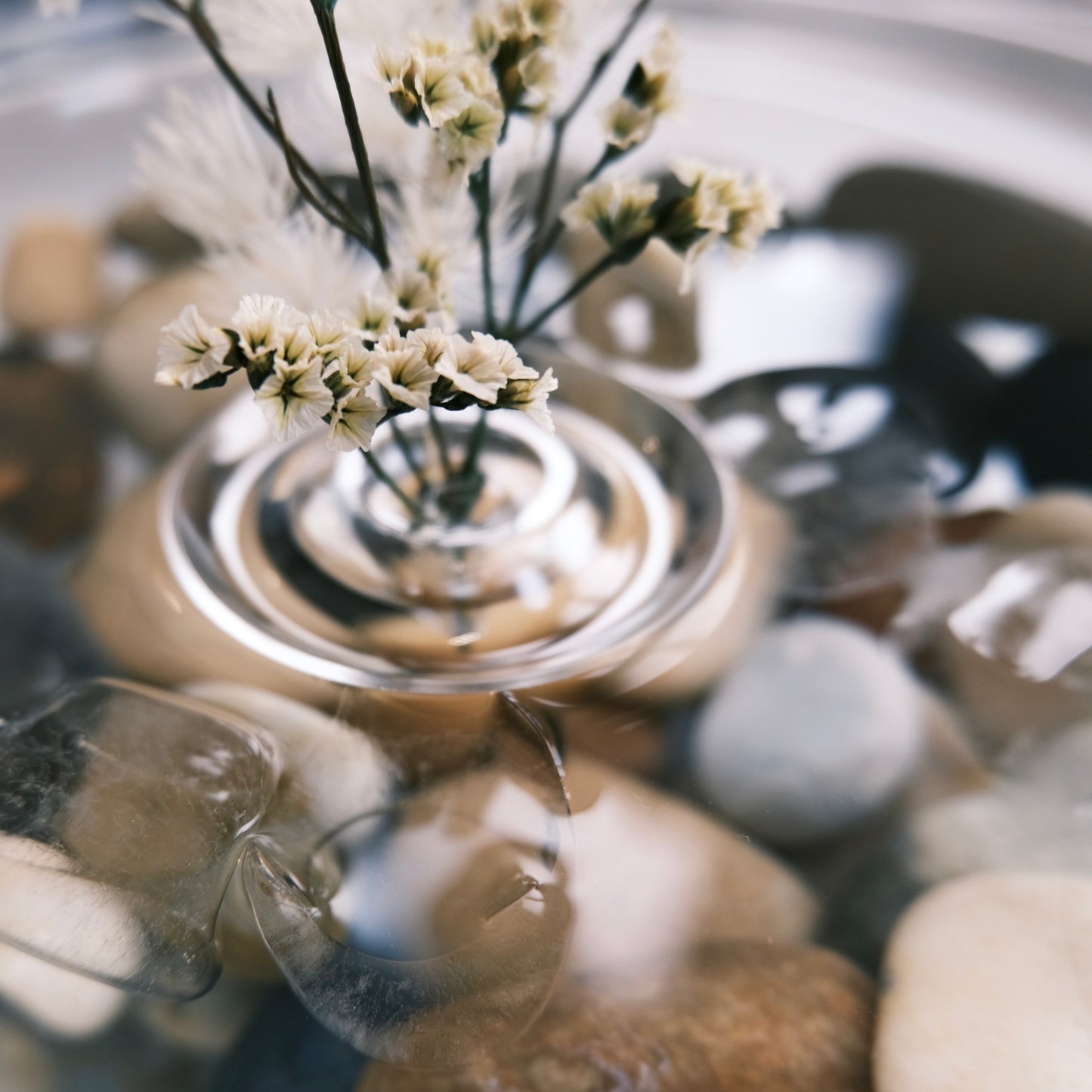 Floating Flower Vase | 水に浮かぶ一輪挿し