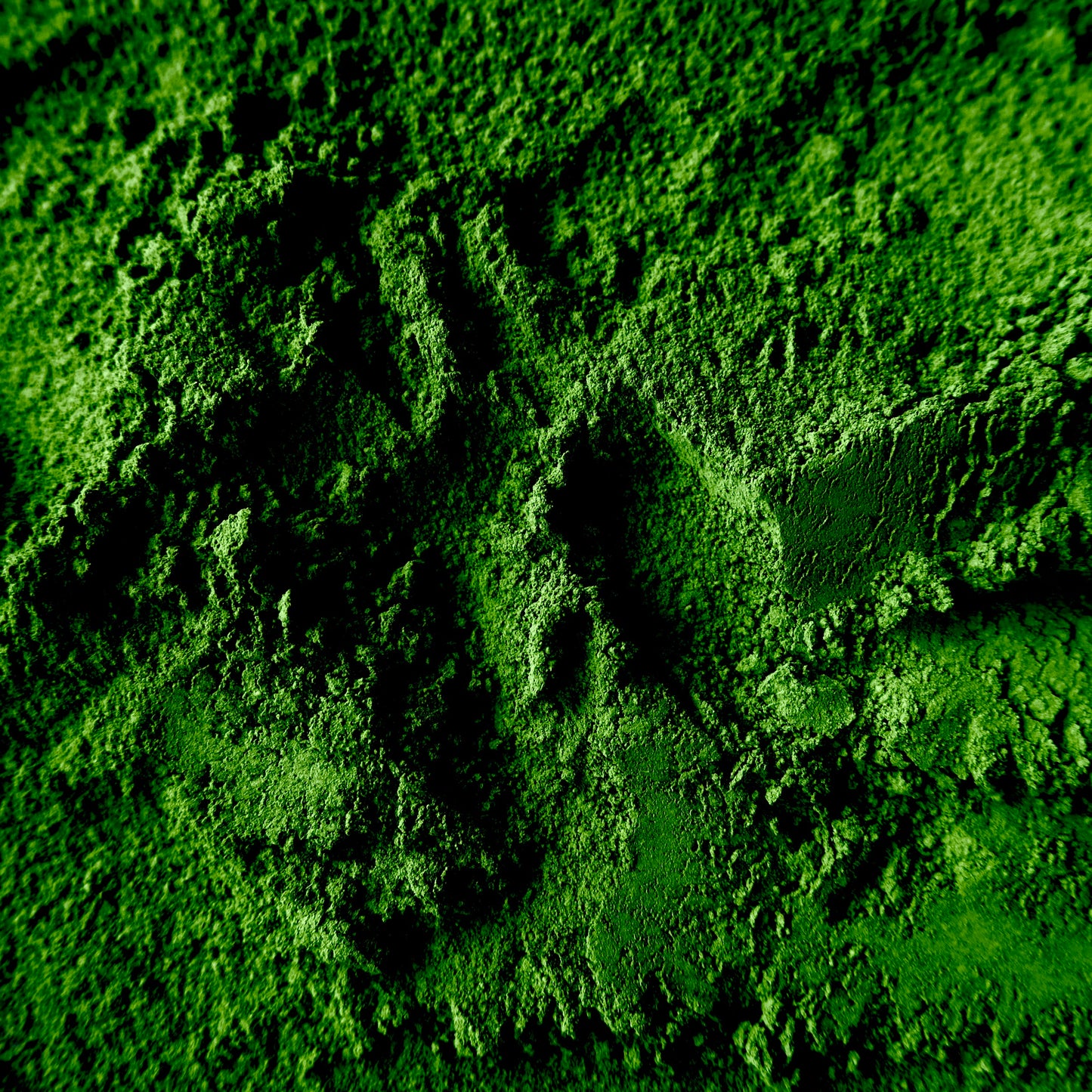 Wholesale | Ceremonial Grade Matcha