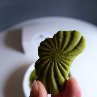 EN Bonsai Matcha Biscuits Box | 盆栽抹茶ビスケット